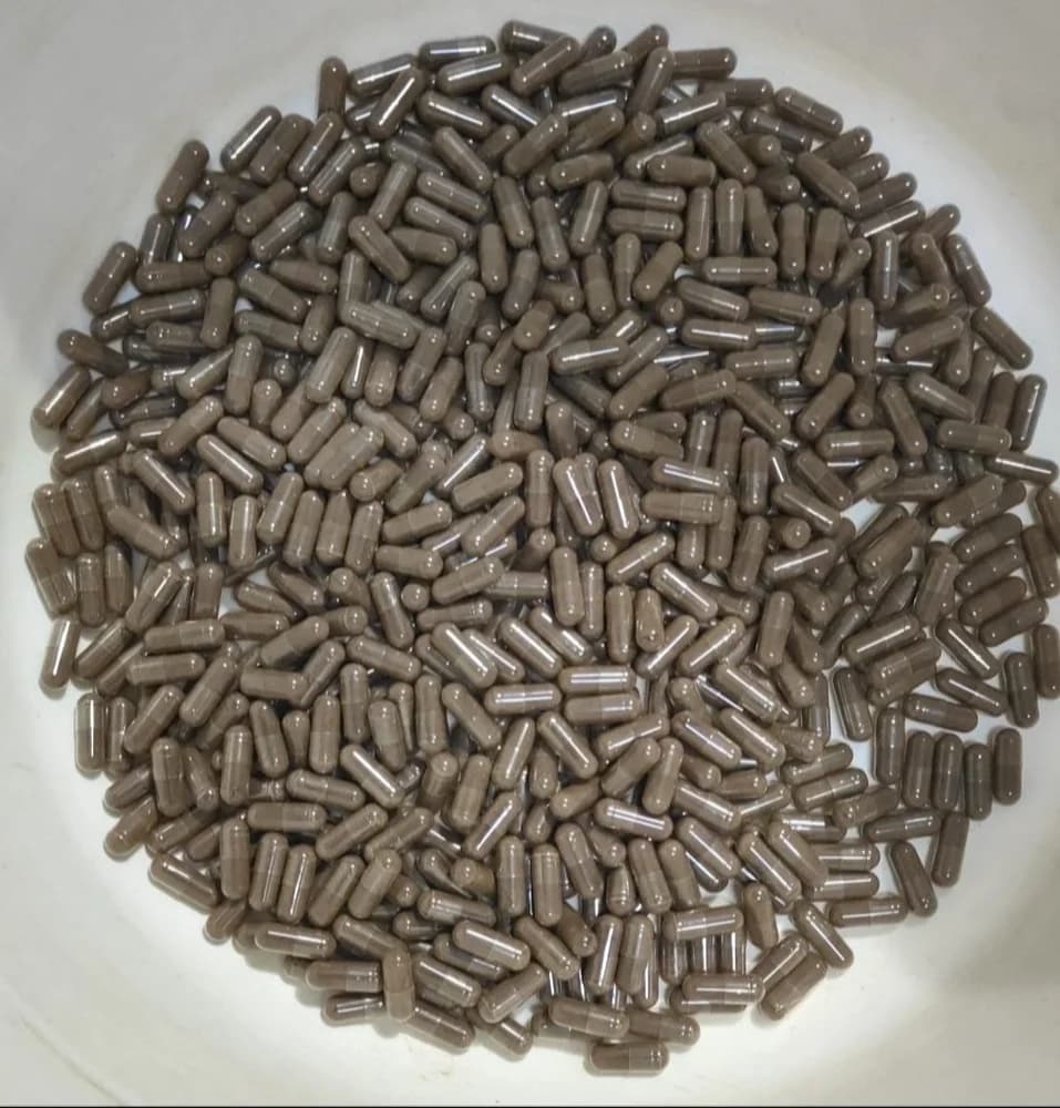 Shilajit Capsules 500mg