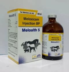 Veterinary Meloxicam Injection