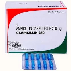 Ampicillin 250 Mg Capsule