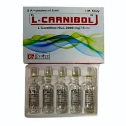 L Carnitine Injection