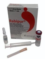 Human Rabies Immunoglobulin Vaccines
