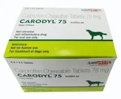 Carprofen Chewable Tablets