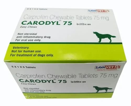 Carprofen Chewable Tablets